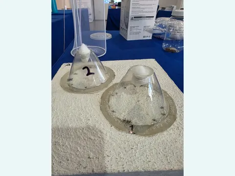 Trampeo y monitoreo - evidencia 3