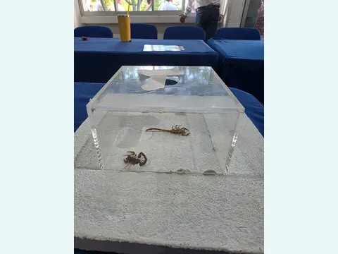 Trampeo y monitoreo - evidencia 4