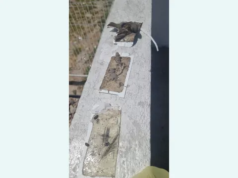 Trampeo y monitoreo - evidencia 5